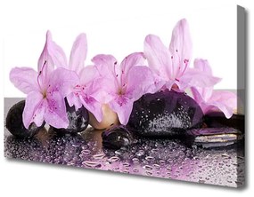 Quadro stampa su tela Fiori di ninfea rosa 100x50 cm