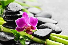Stampa su tela – Natura morta Spa con orchidea viola
