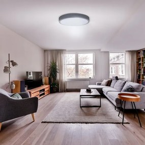 Solight WO8002 - Lampada LED dimmerabile GREY 60W 230V 3000-6500K Ø49 cm + DO