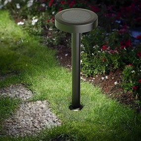 Lampada Solare da Giardino a Picchetto IP65 35cm, CCT 120 lumen Colore Bianco Variabile CCT
