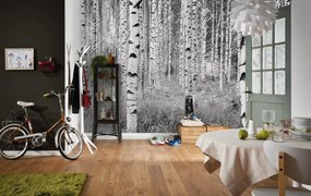 Fotomurale Woods, multicolor