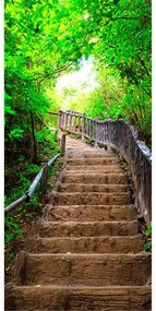 Fotomurale per porta Photo wallpaper – Stairs from nature I