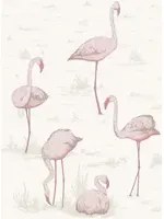 Cole & Son Carta da parati Flamingos - Pink