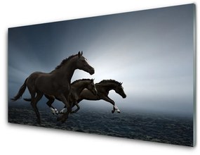 Quadro acrilico Animali cavalli 100x50 cm