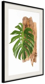 Poster  Leafy Etude  Cornice Quadri Cornice nera con pass-partout, Larghezza x Altezza Home decor 20x30