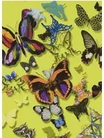 Christian Lacroix Carta da parati Butterfly Parade - Safran