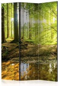 Paravento design Lago forestale - paesaggio di foresta sullo sfondo di raggi solari