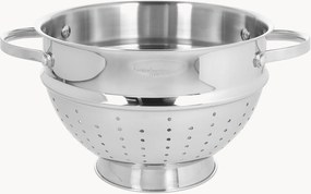 Colino in acciaio inossidabile Luxury Design