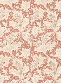 Morris & Co Tapete Wallflower - Chrysanthemum Pink