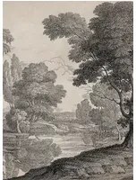 Coordonne Carta da parati panoramica Engraving - Ink