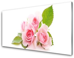 Pannello paraschizzi cucina Rose, fiori, piante, natura 100x50 cm