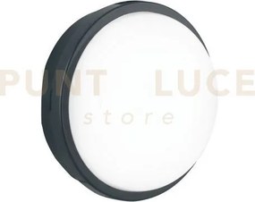 Plafoniera led ever antracite tonda 20w 2500lm cct 3000k luce calda...