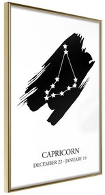 Poster  Zodiac: Capricorn I  Cornice Quadri Cornice d'oro, Larghezza x Altezza Home decor 20x30