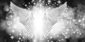 Stampa su tela – Ali in bianco e nero con elementi astratti