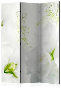 Paravento  Jasmine [Room Dividers]  Colore Verde, Dimensioni e Misure 135x172