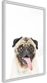 Poster Funny Pug