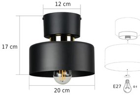 Plafoniera IGNIA 1xE27/60W/230V nera