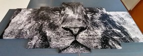 Quadri 5 pezzi – Volto di leone in bianco e nero