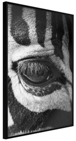 Poster  Zebra Is Watching You  Cornice Quadri Cornice nera, Larghezza x Altezza Home decor 20x30