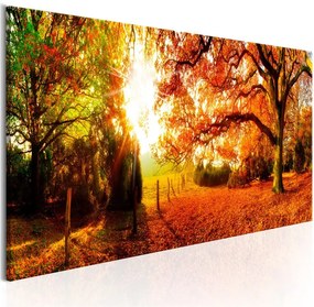 Quadro Magic of Autumn  Colore Verde, Dimensioni e Misure 135x45