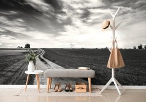 Carta da parati – Paesaggio incantevole in bianco e nero