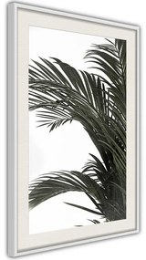 Poster  Jungle Scent  Cornice Quadri Cornice d'oro, Larghezza x Altezza Home decor 20x30