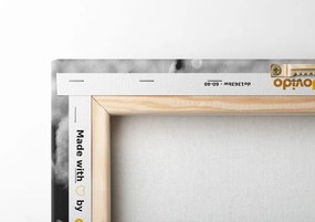 Quadro su tela – Buddha del Jin e Jang in bianco e nero