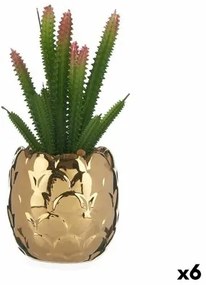 Pianta Decorativa Ceramica Dorato Cactus Verde Plastica 6 Unità