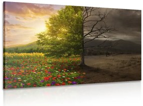 Stampa su tela – Due aspetti dell'albero
