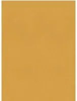 Élitis Carta da parati Parthénon - RM 1045 22