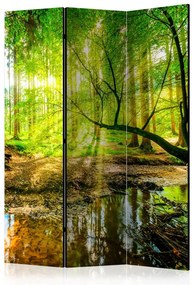 Paravento Forest Stream [Room Dividers]