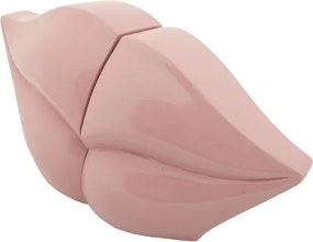 Ferma Libri Bocca Cm 27X9X13