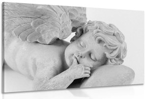 Stampa su tela – Angioletto dormiente in bianco e nero