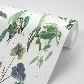 Carta da parati – Foglie meravigliose su sfondo bianco
