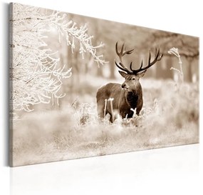 Quadro Deer in Sepia  Colore Beige, Dimensioni e Misure 120x80