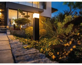 Kanlux 38764 - Lampada da esterno DASTEN 1xG9/11W/230V 50 cm IP44 nero