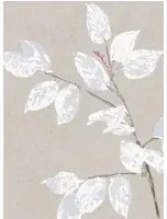 Lewis & Wood Carta da parati Beech - Linen
