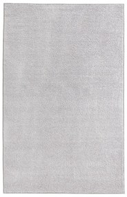Tappeto grigio chiaro , 160 x 240 cm Pure - Hanse Home