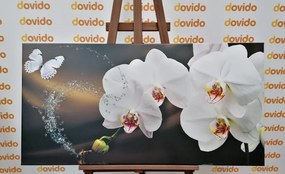 Quadro su tela – Orchidea e farfalla