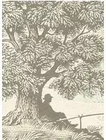 Lewis & Wood Carta da parati Royal Oak - Aquatint