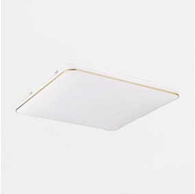 Zuma Line JE-DHS-0530-GD - Plafoniera LED dimmerabile OMAR LED/48W/230V oro