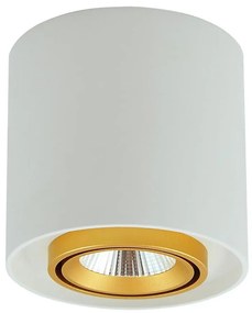 Luce Spot a LED XENO LED/15W/230V bianco 1200lm