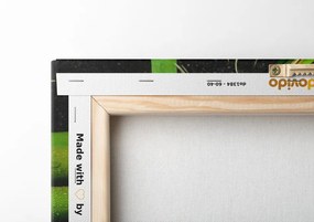 Stampa su tela – Pietre a forma di Jin e Jang