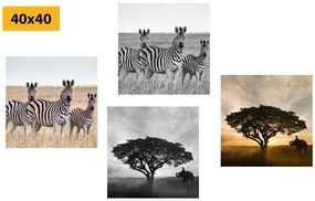 Set di quadri – Animali che vivono nella Savana