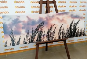 Quadro su tela – Spighe di erba lunga