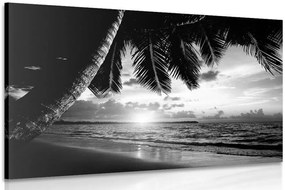 Stampa su tela – Alba sulla spiaggia caraibica in bianco e nero