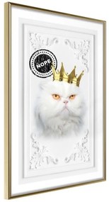 Poster  Cat Rules II  Cornice Quadri Cornice d'oro, Larghezza x Altezza Home decor 20x30