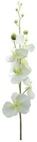 Orchidea in Plastica 90 cm Crema