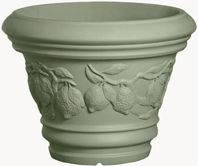 Portavaso Limoni
