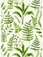 Clarke & Clarke Carta da parati Bracken - Forest